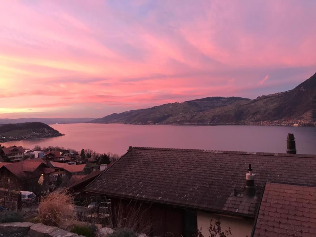 Krattigen Moderne Unterkunft Mit Panoramablick Auf Thunersee מראה חיצוני תמונה